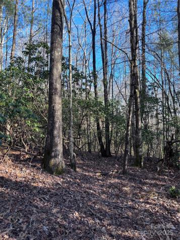 L26 Konnaneeta Trail Brevard NC 28712