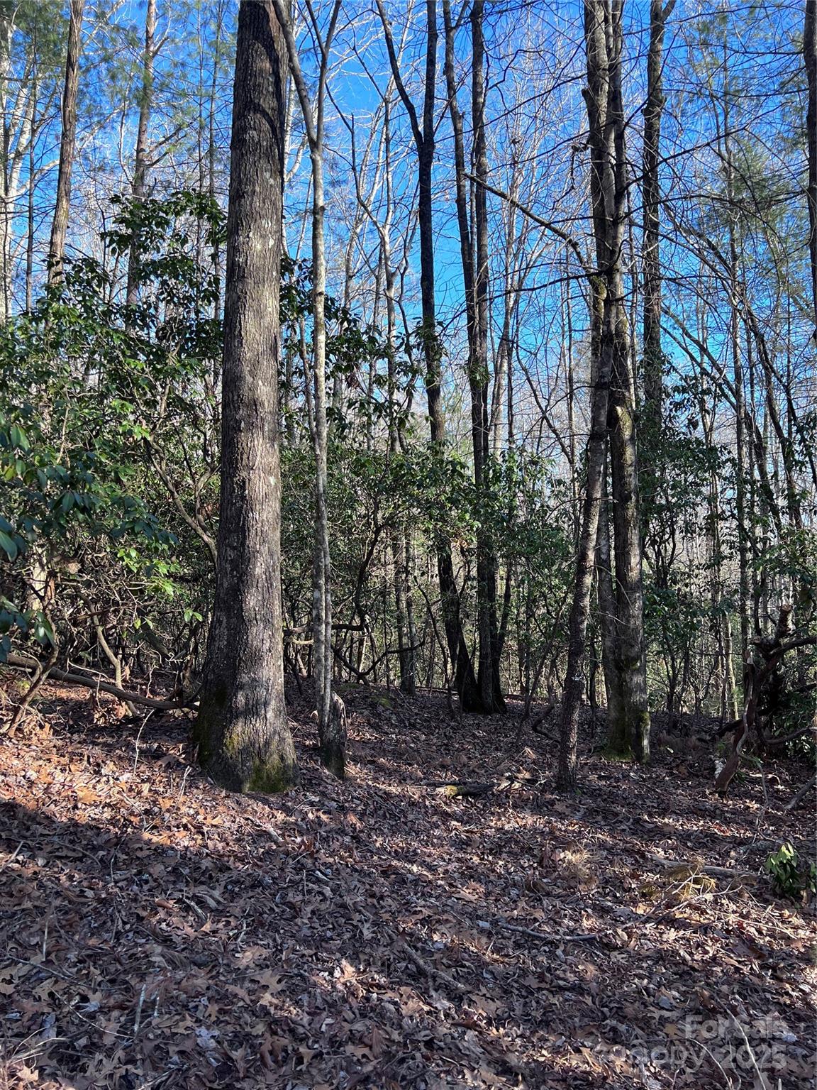 L26 Konnaneeta Trail Brevard NC 28712