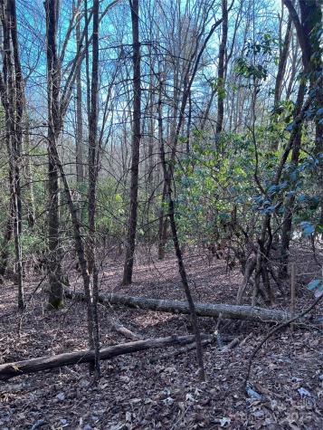 L26 Konnaneeta Trail Brevard NC 28712