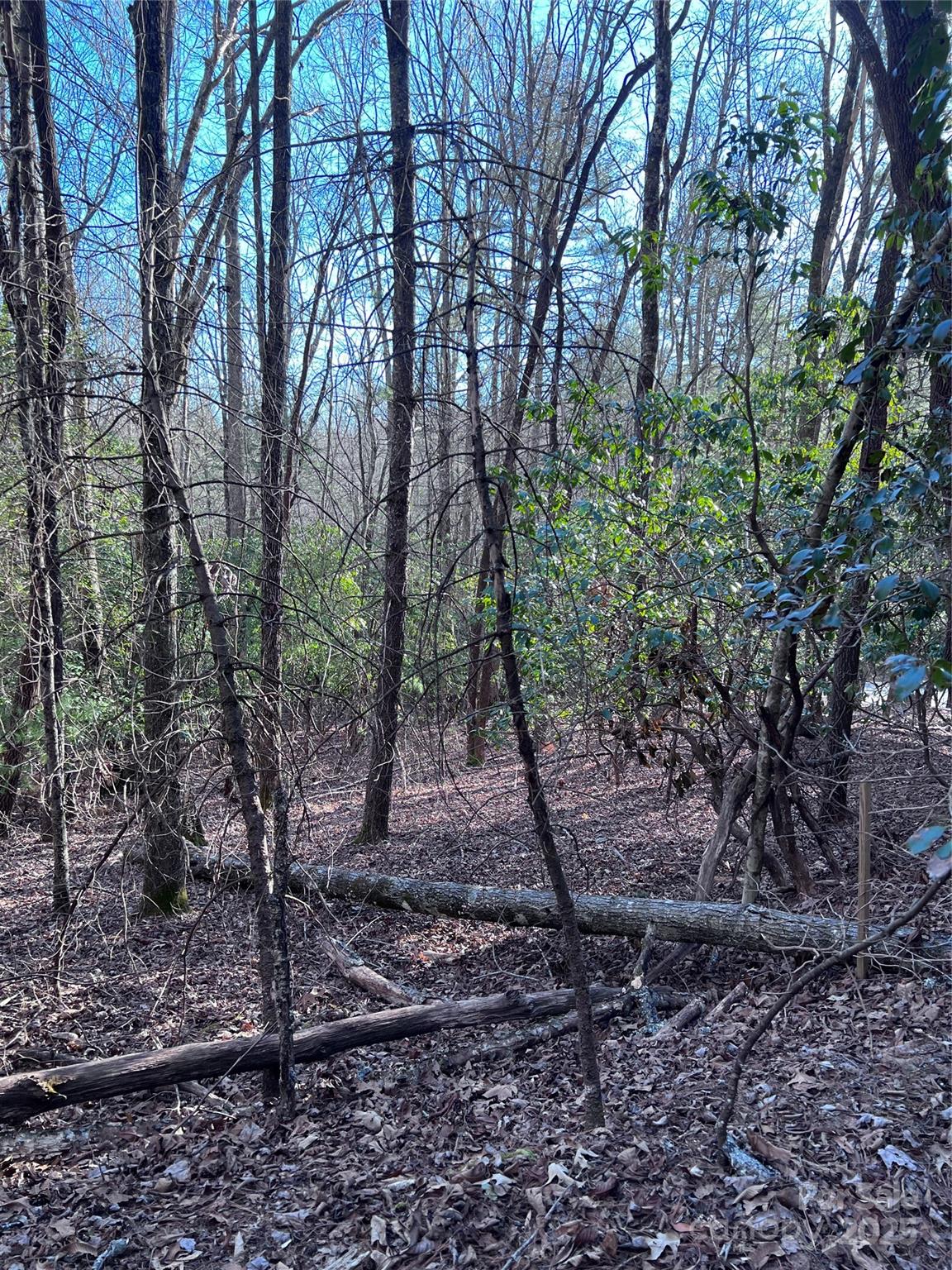 L26 Konnaneeta Trail Brevard NC 28712