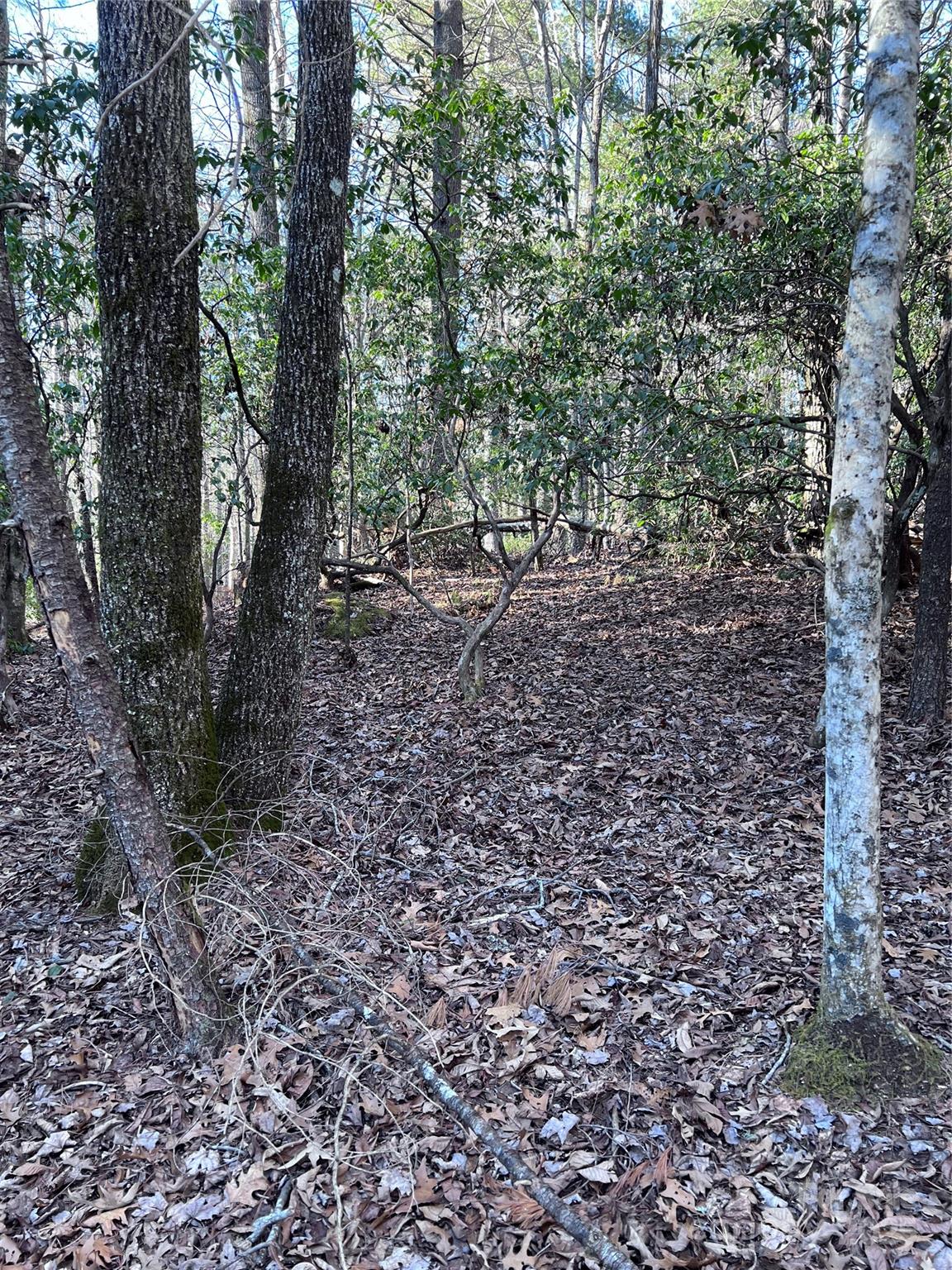 L26 Konnaneeta Trail Brevard NC 28712