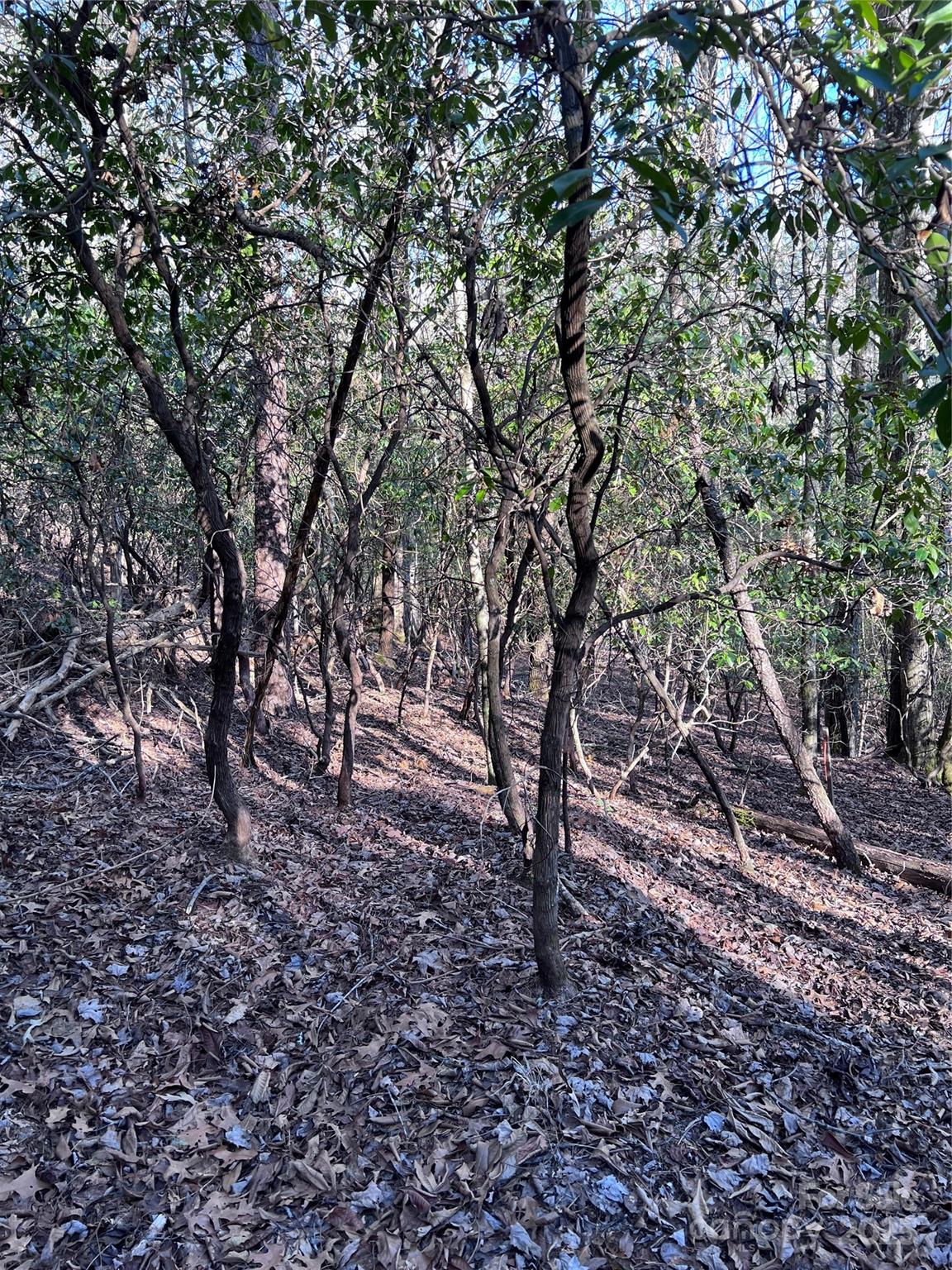 L26 Konnaneeta Trail Brevard NC 28712
