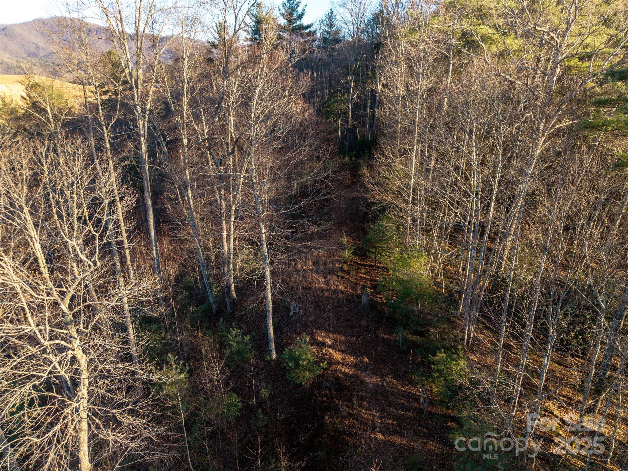 00 Eaglecrest Lane Waynesville NC 28785