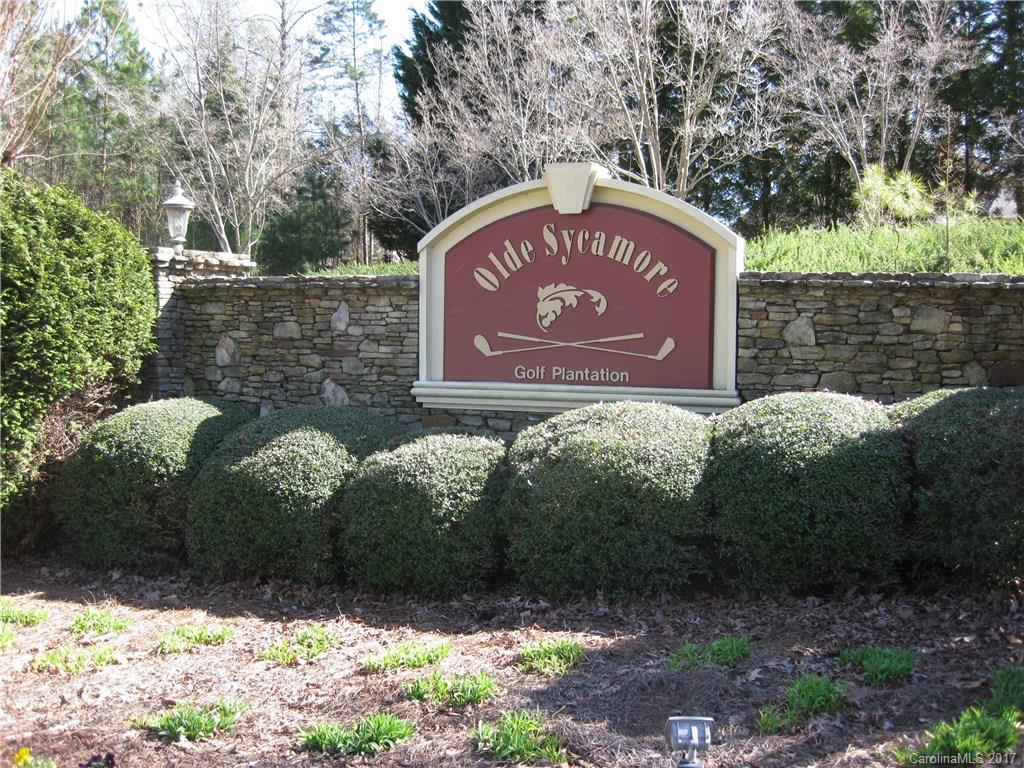 10308 Clubhouse View Lane Mint Hill NC 28227