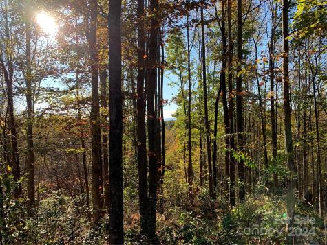 1483 Round Mountain Parkway Lenoir NC 28645