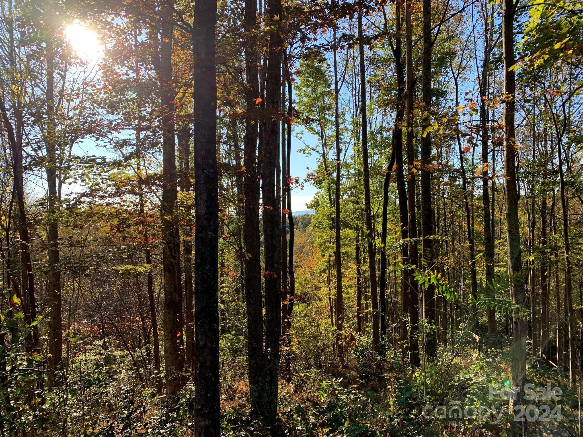1483 Round Mountain Parkway Lenoir NC 28645