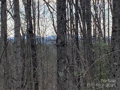 1483 Round Mountain Parkway Lenoir NC 28645