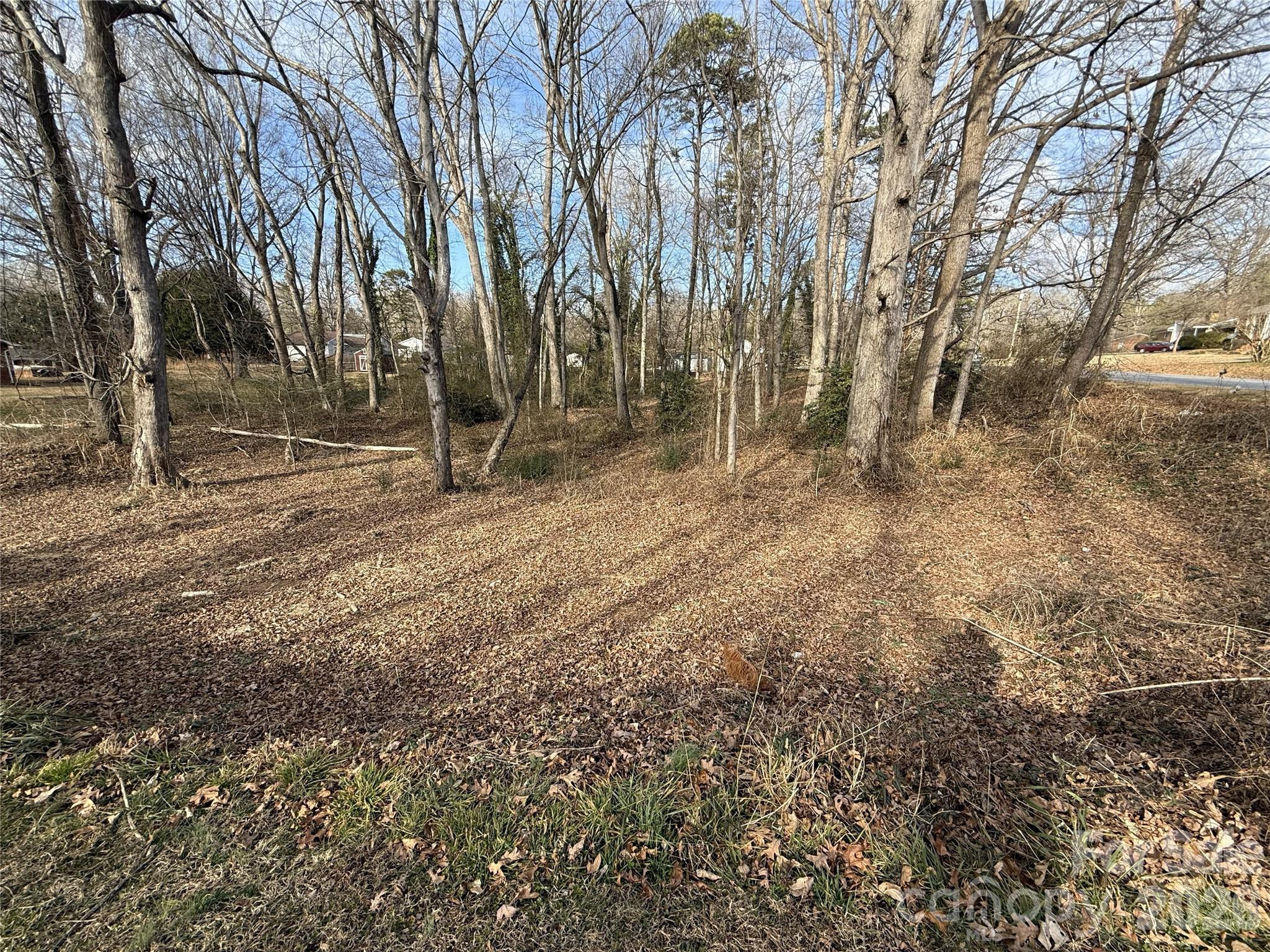 Lot 10&11 Buffalo Shoals Road Statesville NC 28677