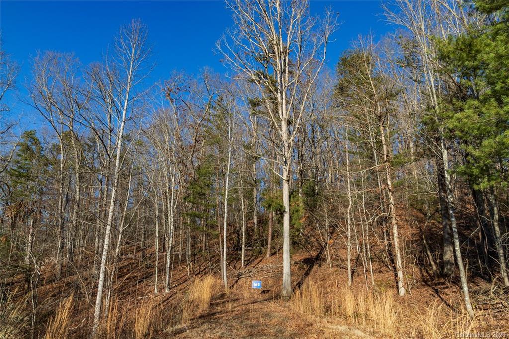 132 Saddle Ridge Drive Alexander NC 28701