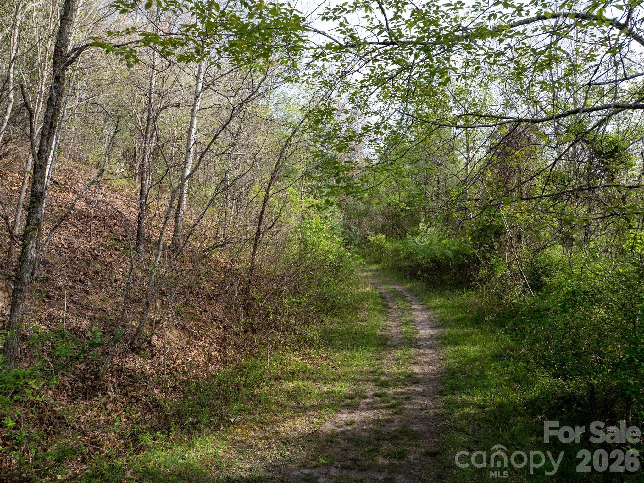 0 Sunnybrook Trail Clyde NC 28721