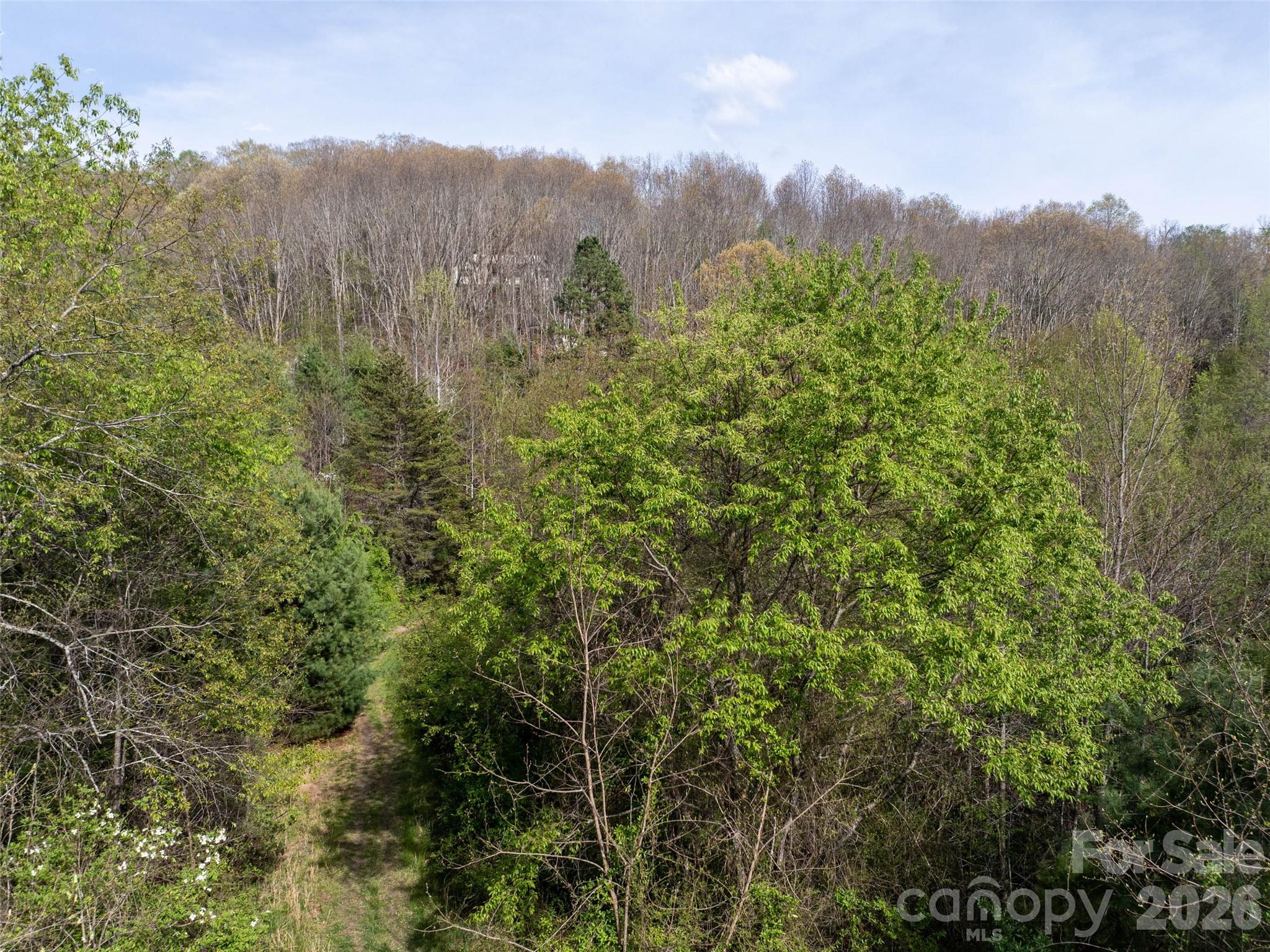 0 Sunnybrook Trail Clyde NC 28721