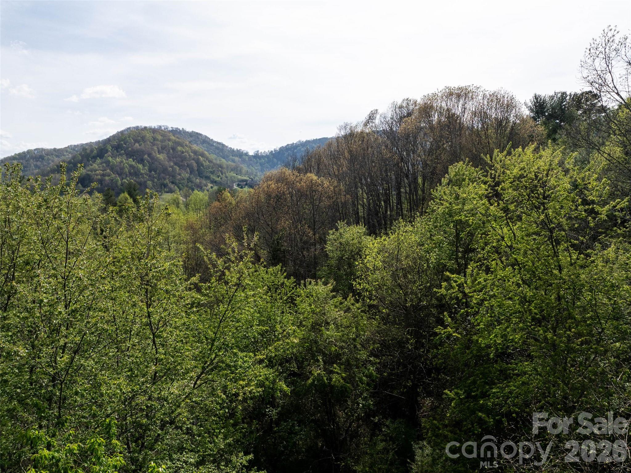0 Sunnybrook Trail Clyde NC 28721