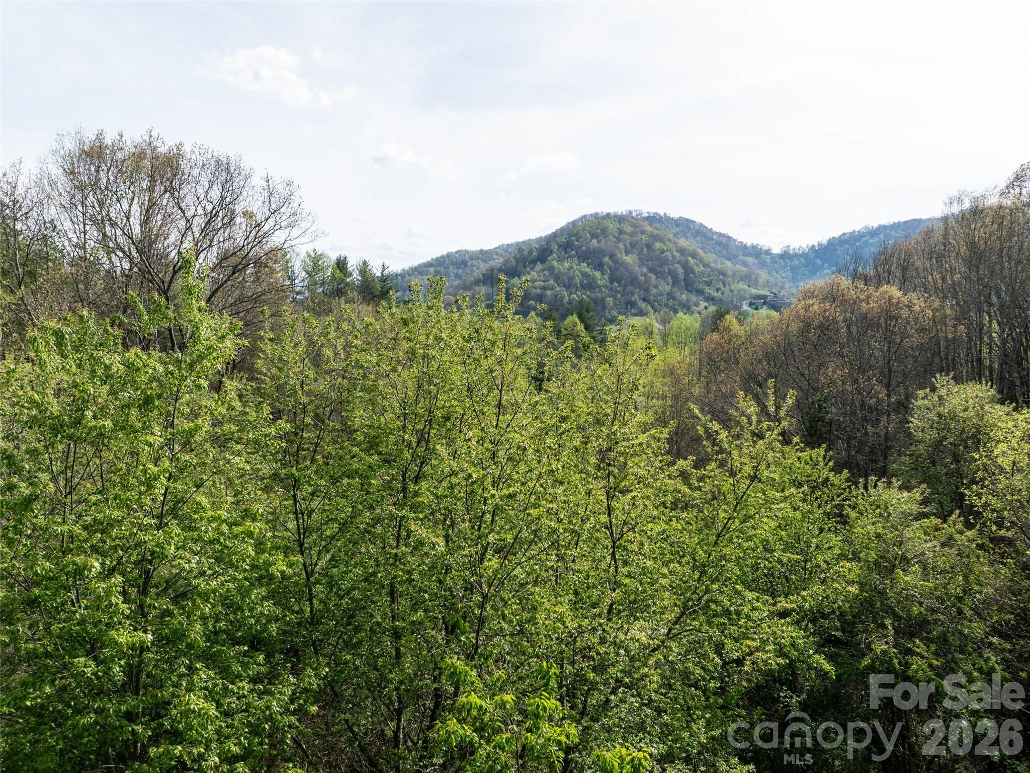 0 Sunnybrook Trail Clyde NC 28721