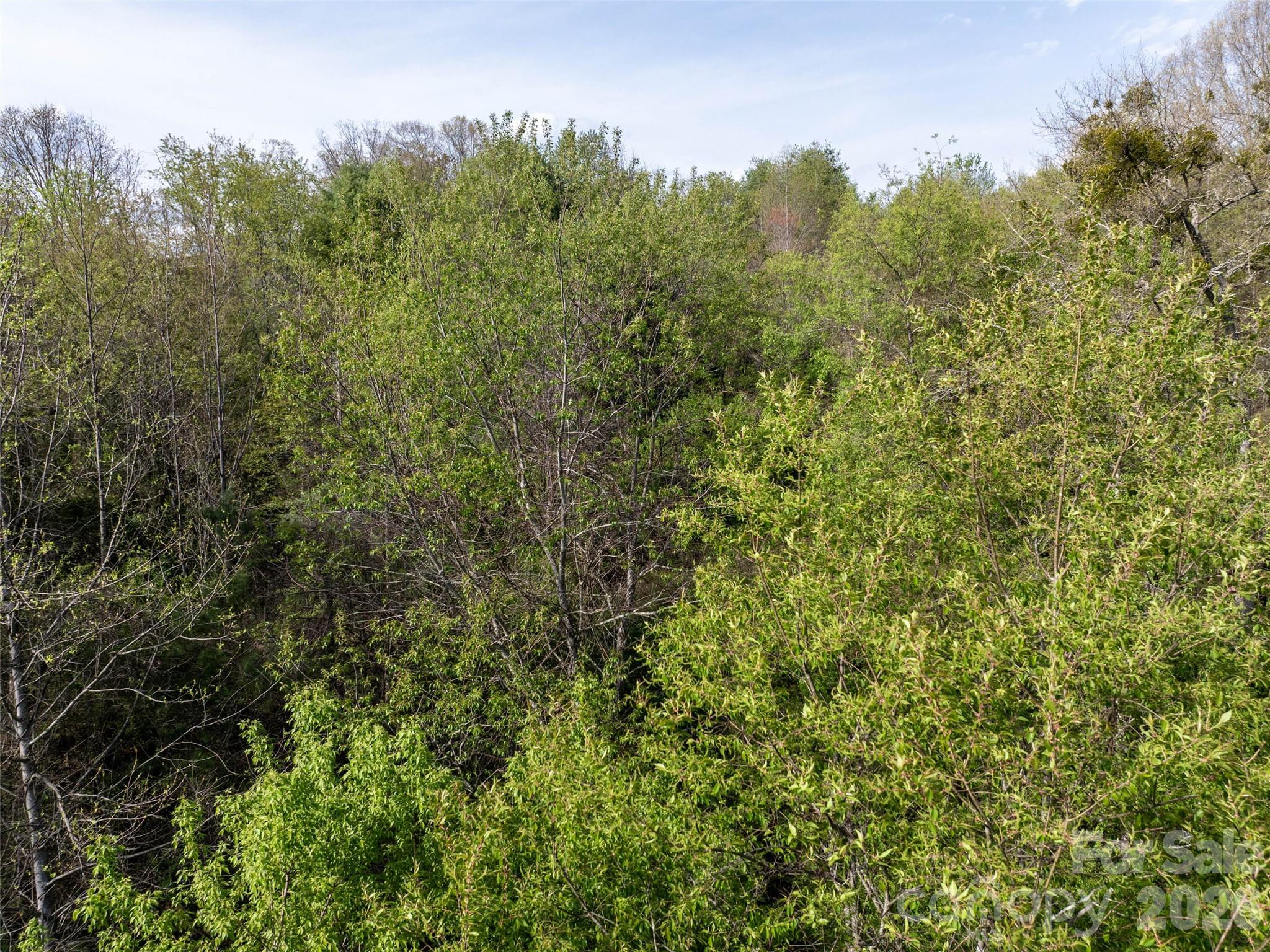 0 Sunnybrook Trail Clyde NC 28721