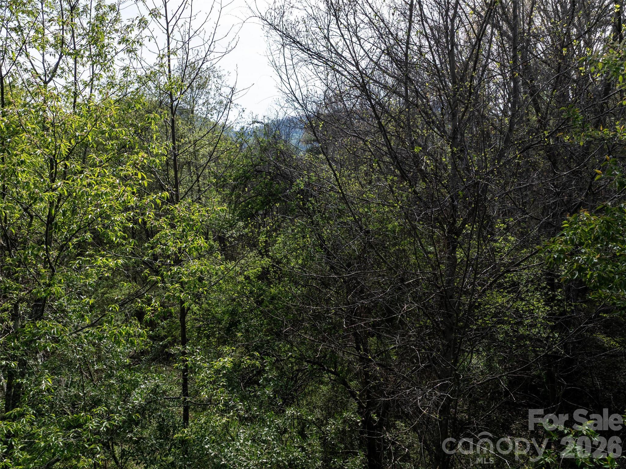 0 Sunnybrook Trail Clyde NC 28721