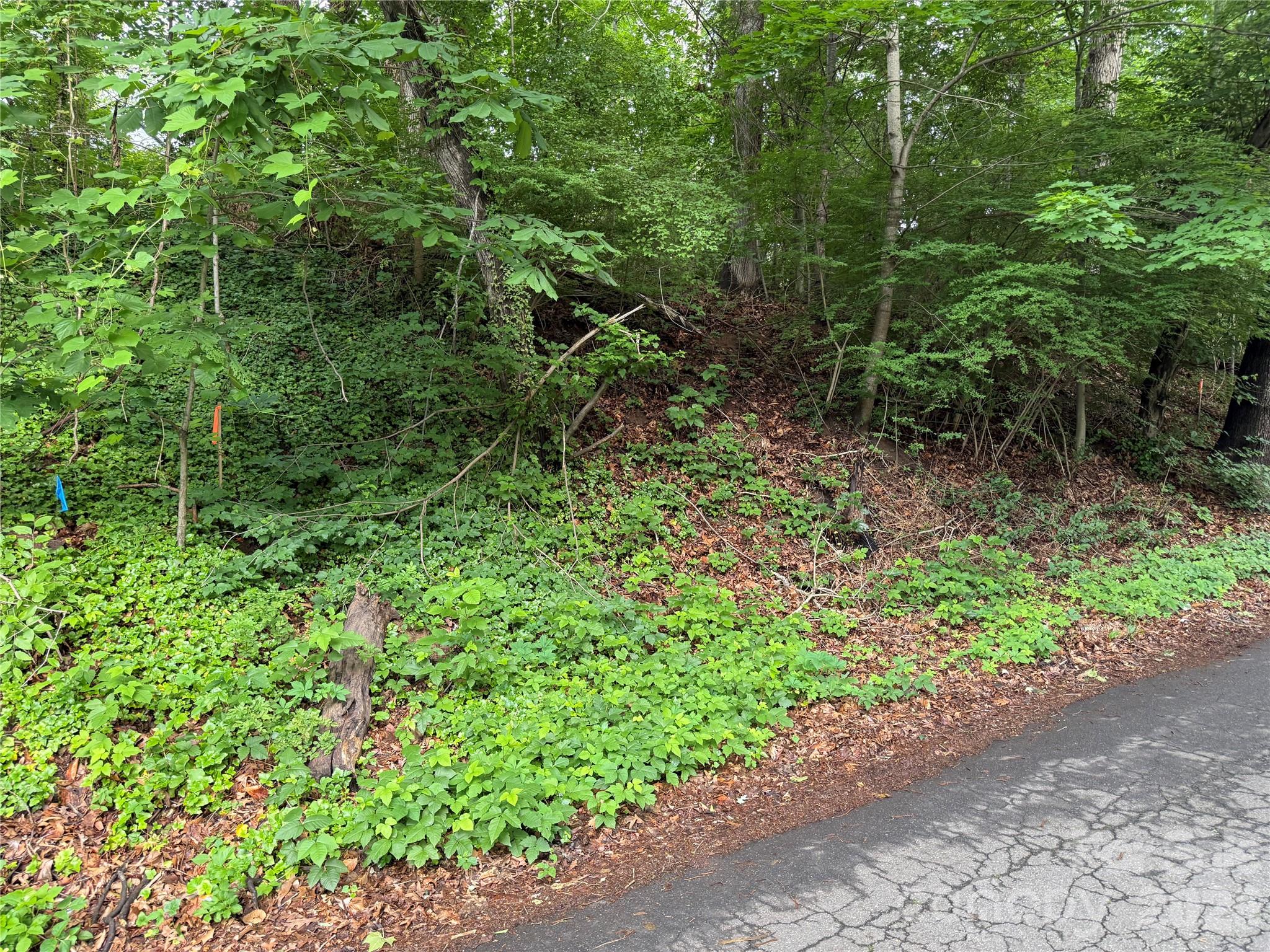 87 Iris Street Asheville NC 28803