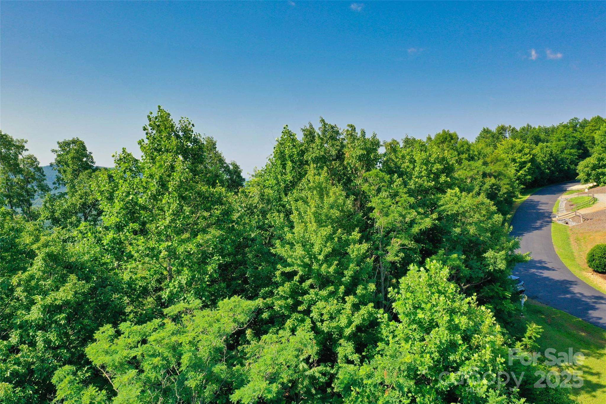 0 Tahawus Drive Bostic NC 28018