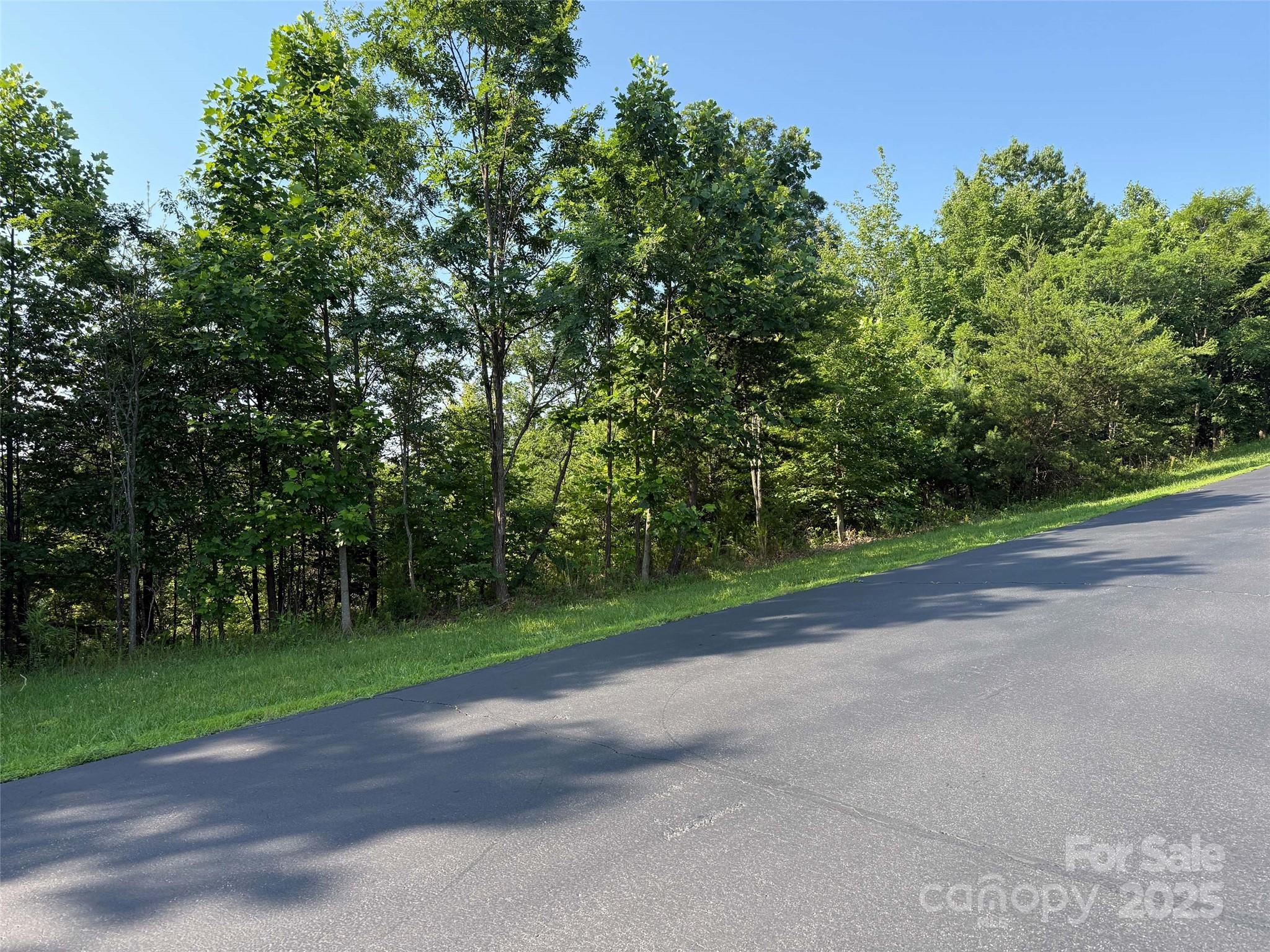 0 Tahawus Drive Bostic NC 28018