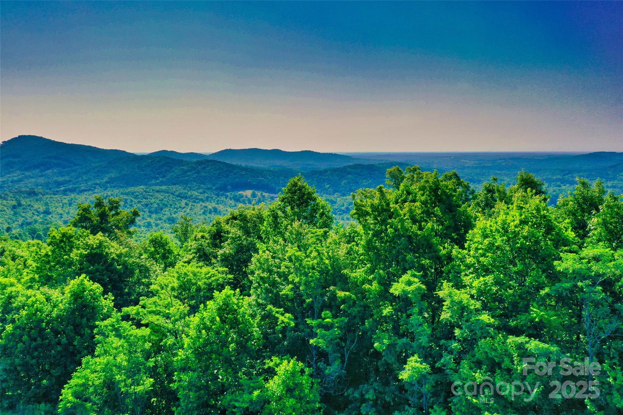 0 Tahawus Drive Bostic NC 28018
