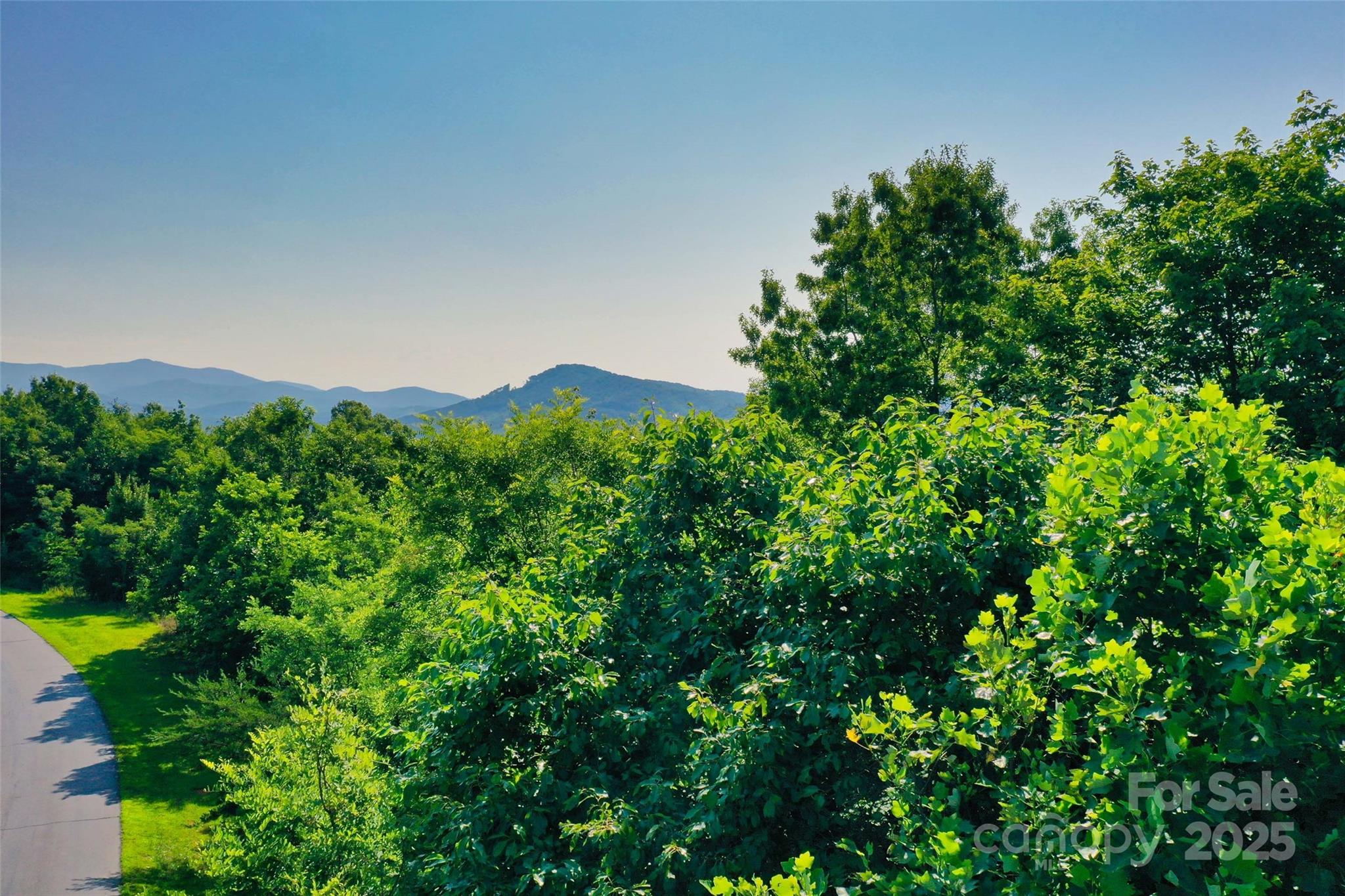 0 Tahawus Drive Bostic NC 28018