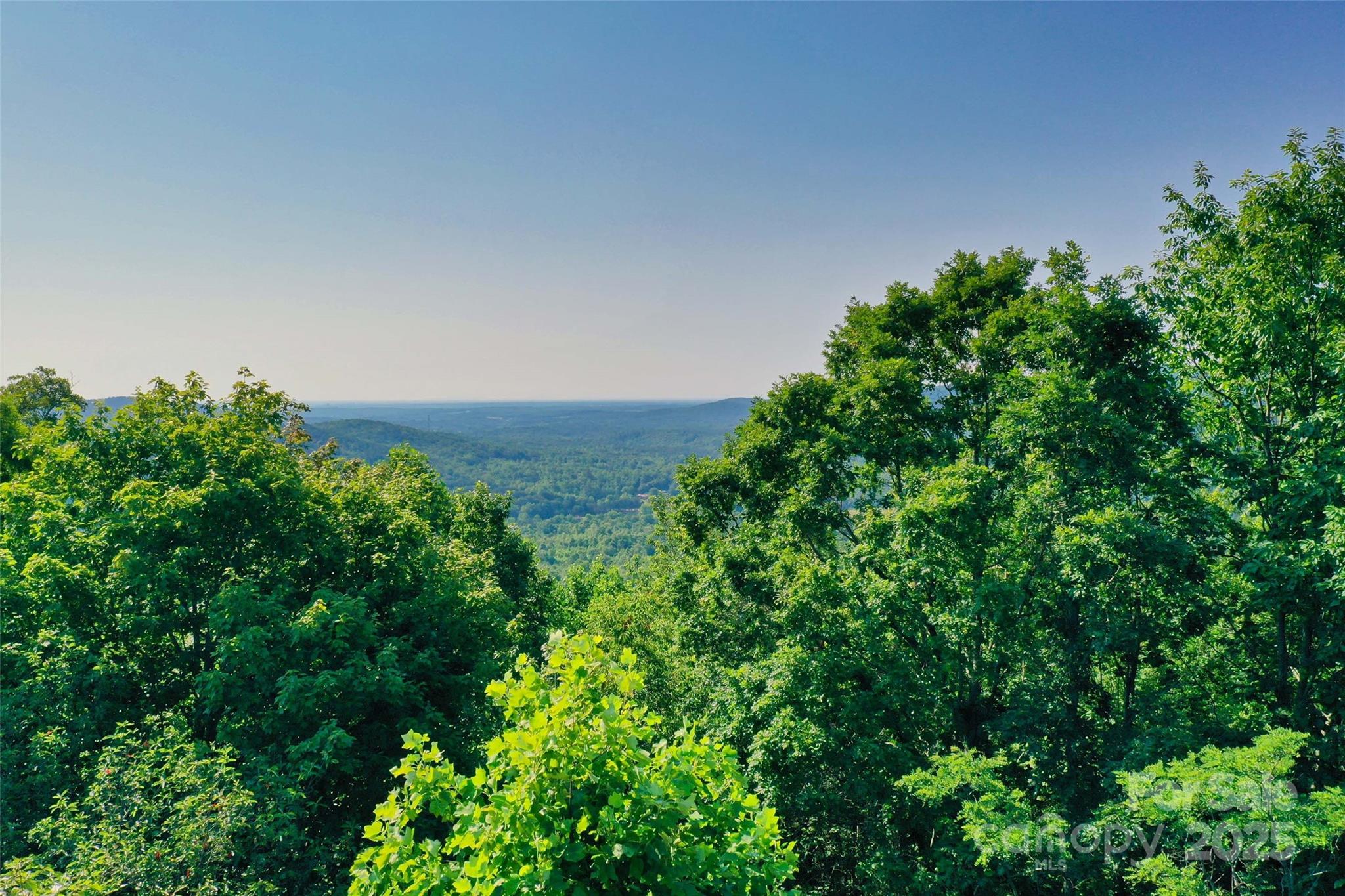 0 Tahawus Drive Bostic NC 28018