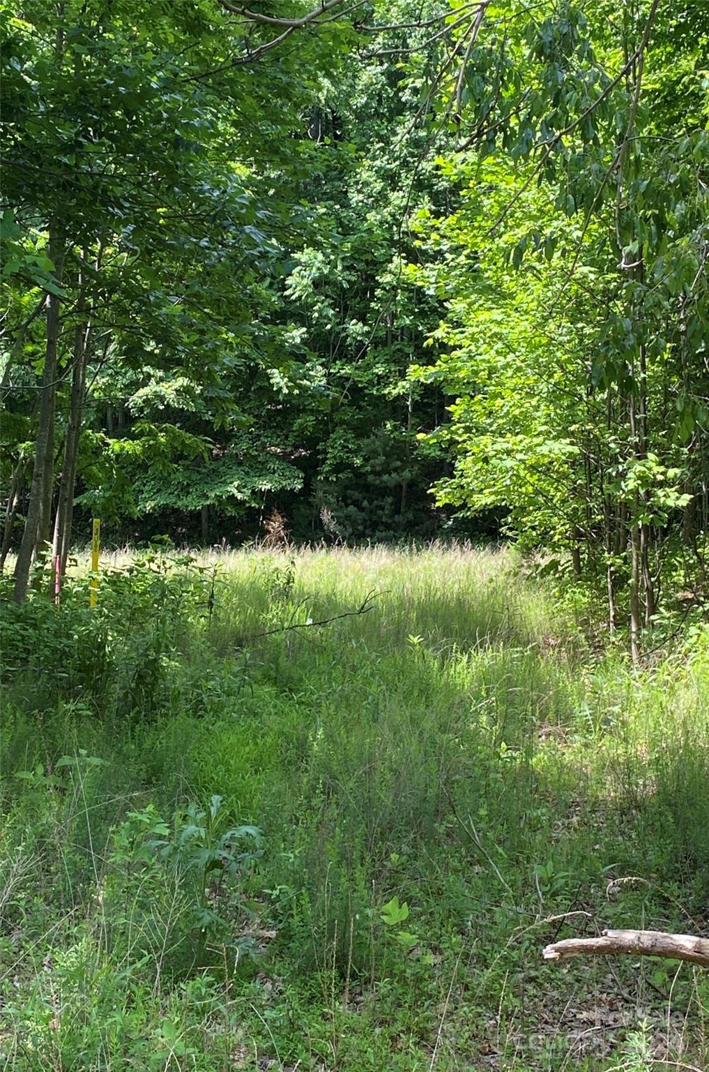 199 Cherry Hill Mill Spring NC 28756