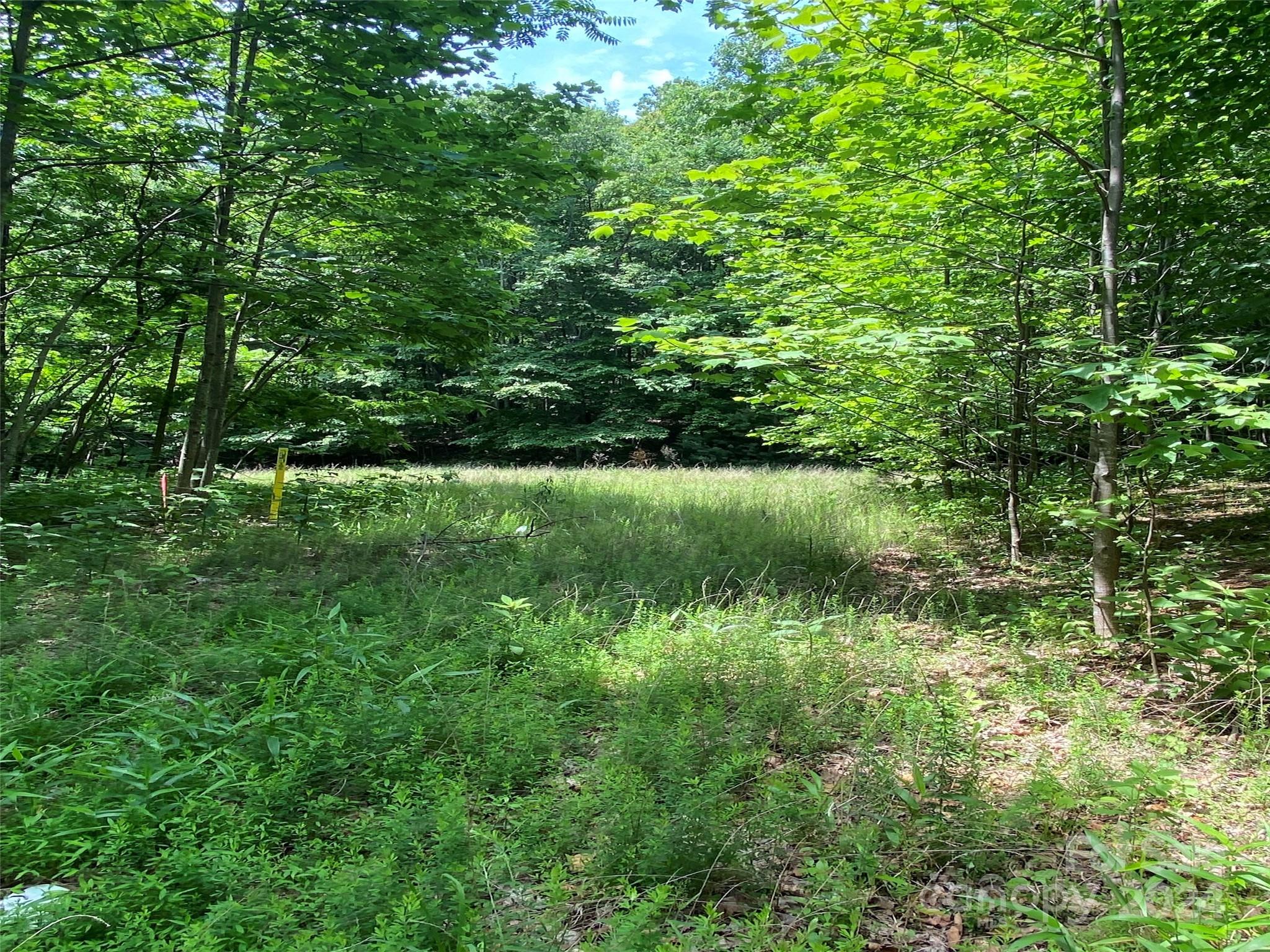 199 Cherry Hill Mill Spring NC 28756