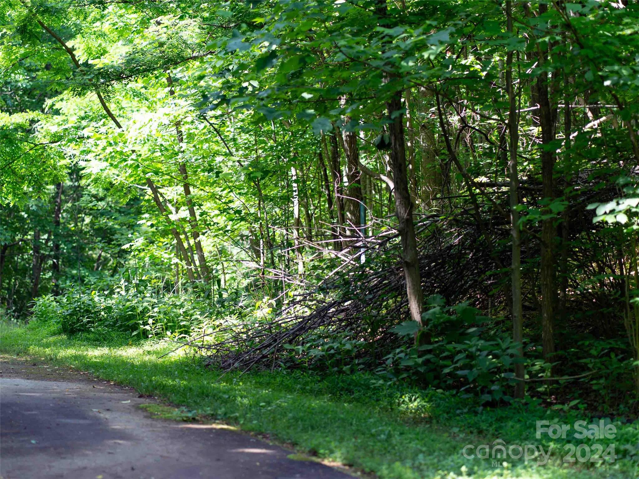199 Cherry Hill Mill Spring NC 28756