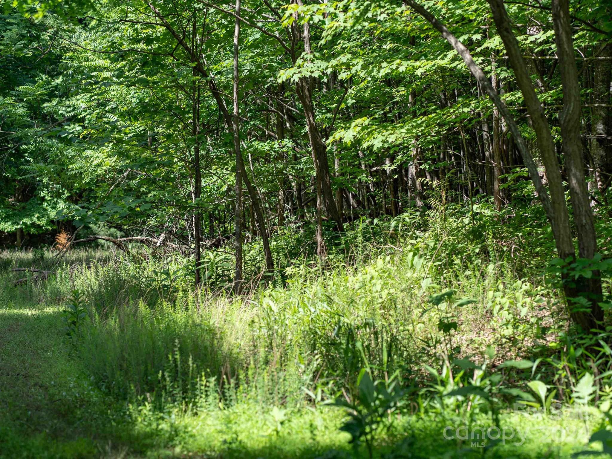 199 Cherry Hill Mill Spring NC 28756