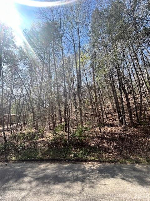 Lot 51 Fairway Drive Lake Lure NC 28746