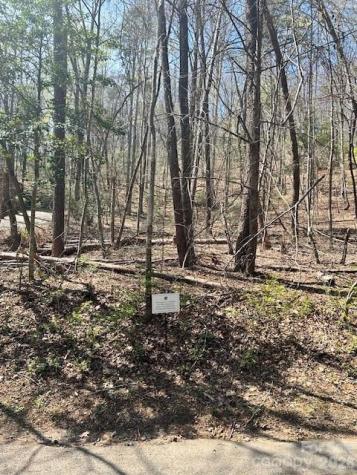 Lot 51 Fairway Drive Lake Lure NC 28746