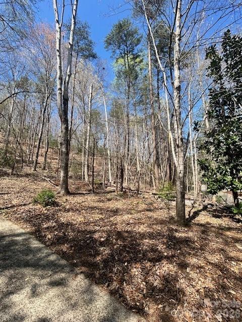 Lot 51 Fairway Drive Lake Lure NC 28746