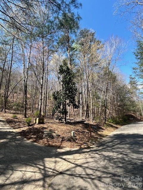 Lot 51 Fairway Drive Lake Lure NC 28746