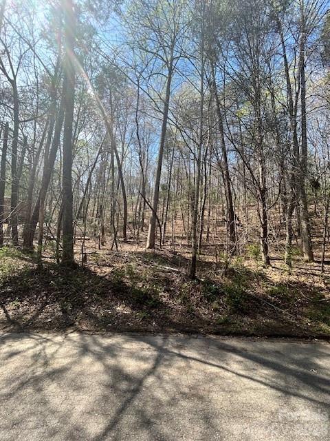Lot 51 Fairway Drive Lake Lure NC 28746