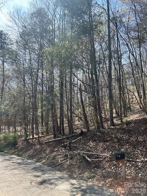 Lot 51 Fairway Drive Lake Lure NC 28746