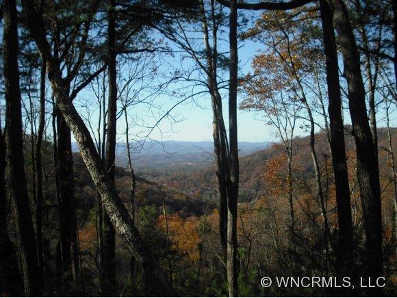 32 Timberwolf Court Asheville NC 28804
