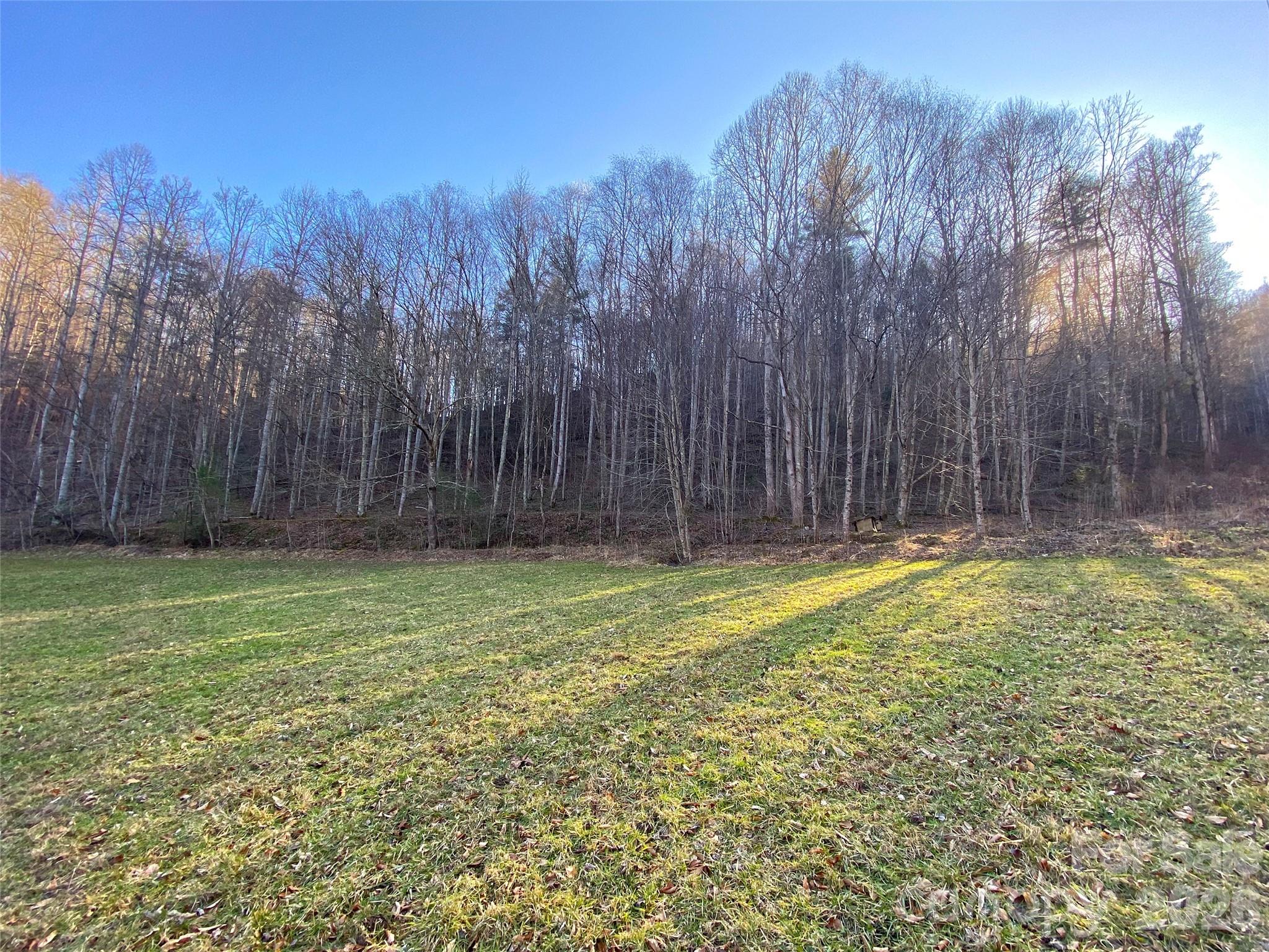 7385 Big Pine Road Marshall NC 28753