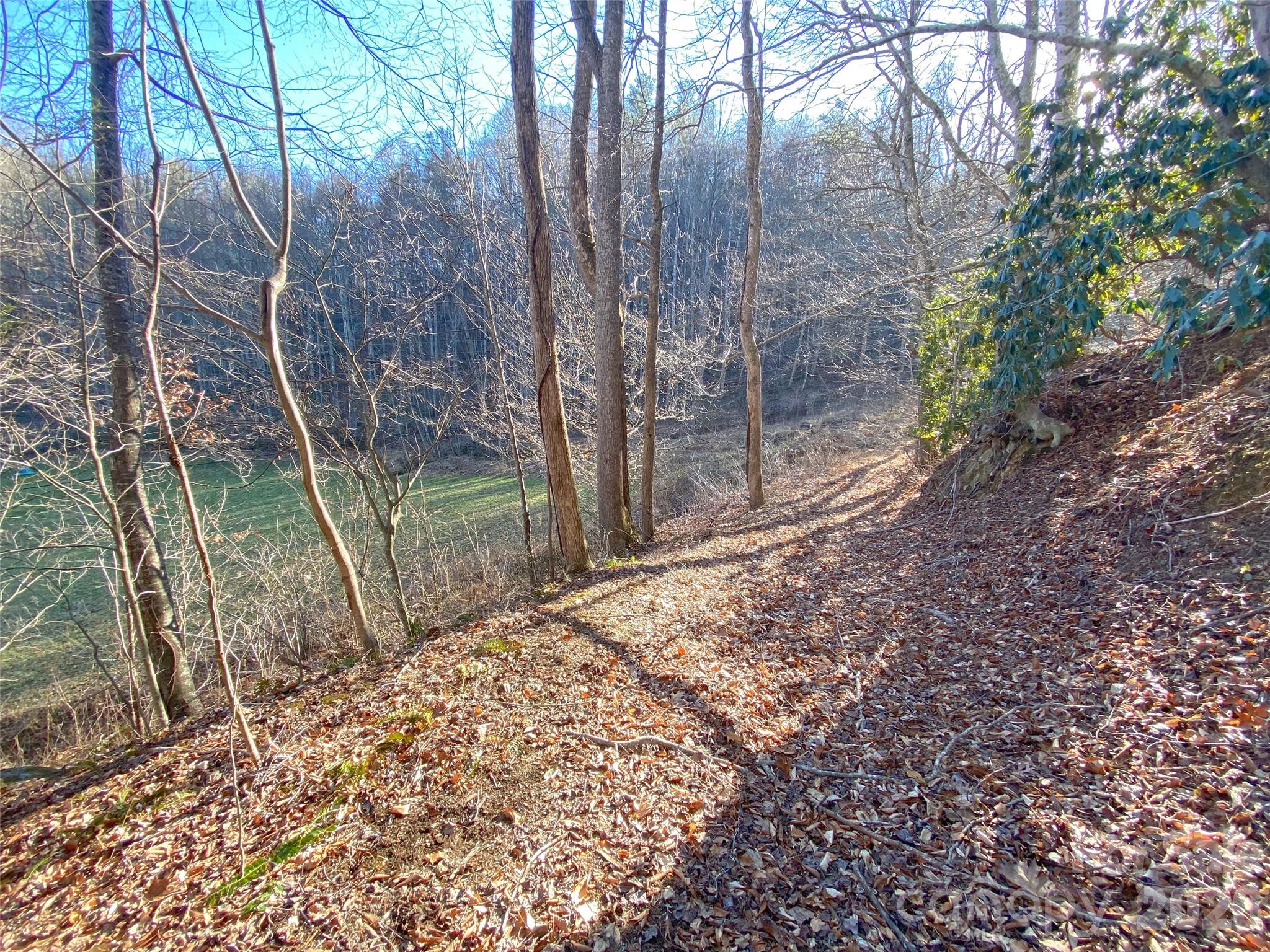 7385 Big Pine Road Marshall NC 28753