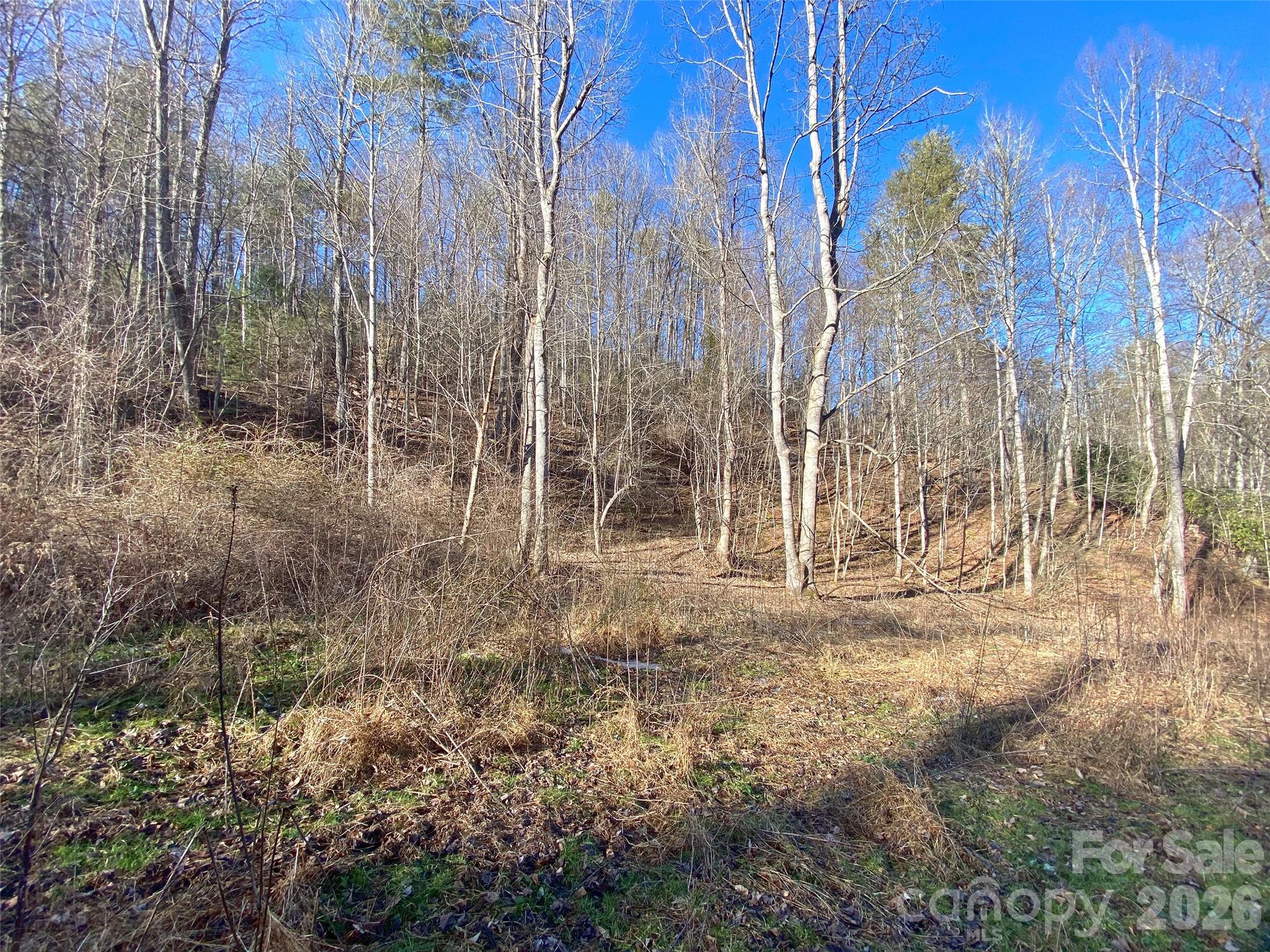 7385 Big Pine Road Marshall NC 28753