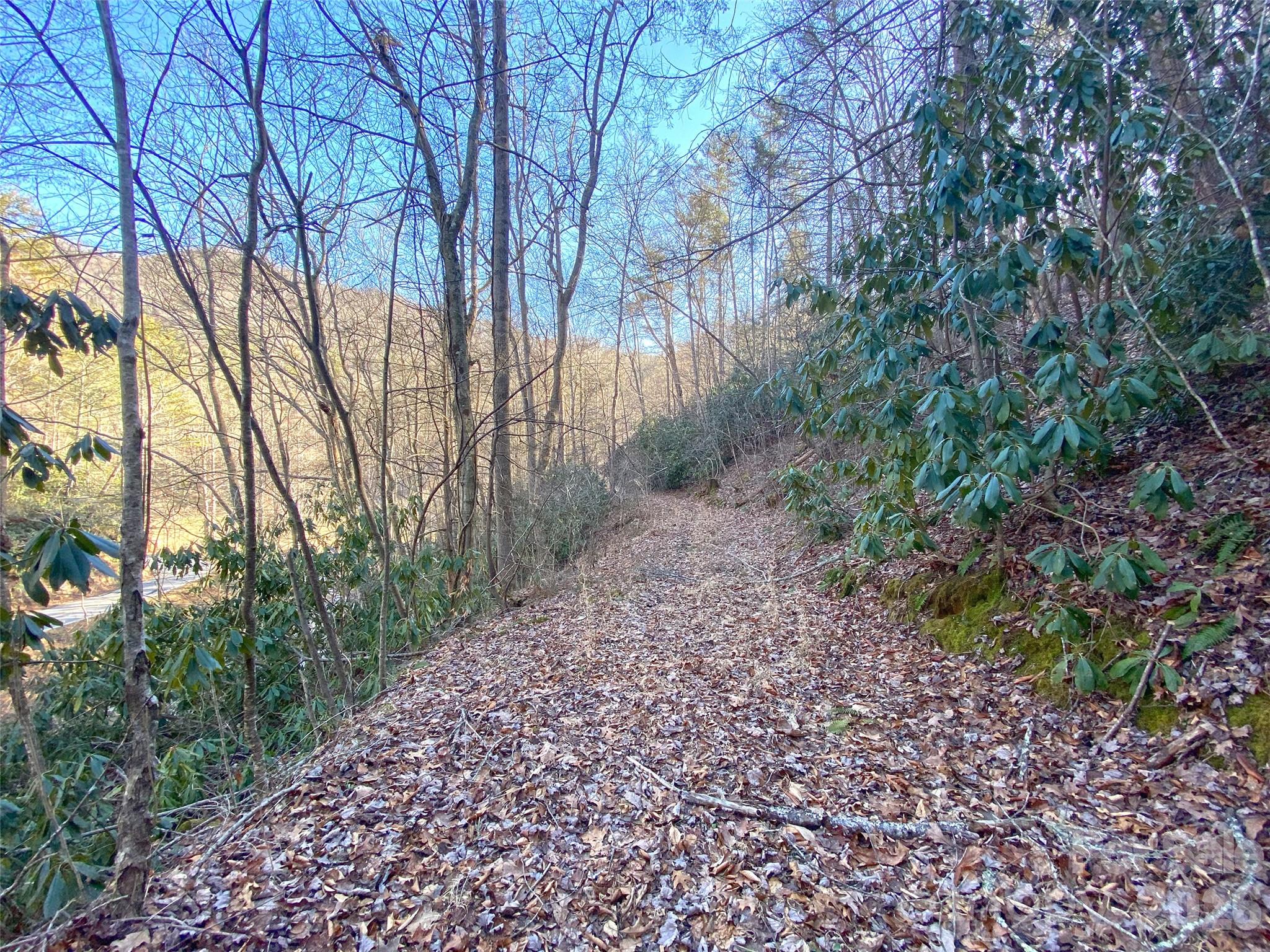7385 Big Pine Road Marshall NC 28753