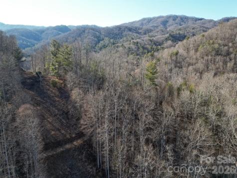 7385 Big Pine Road Marshall NC 28753