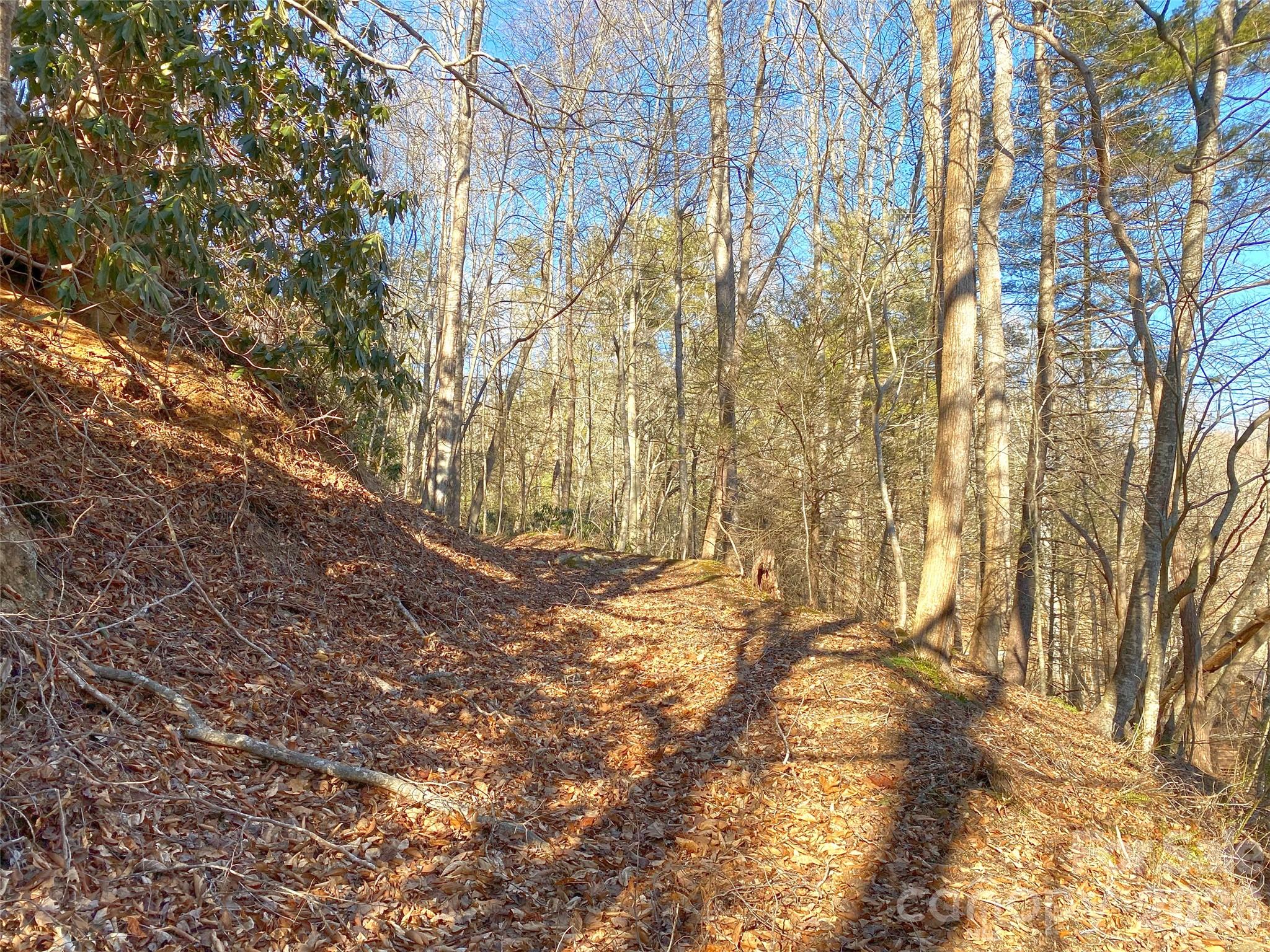 7385 Big Pine Road Marshall NC 28753