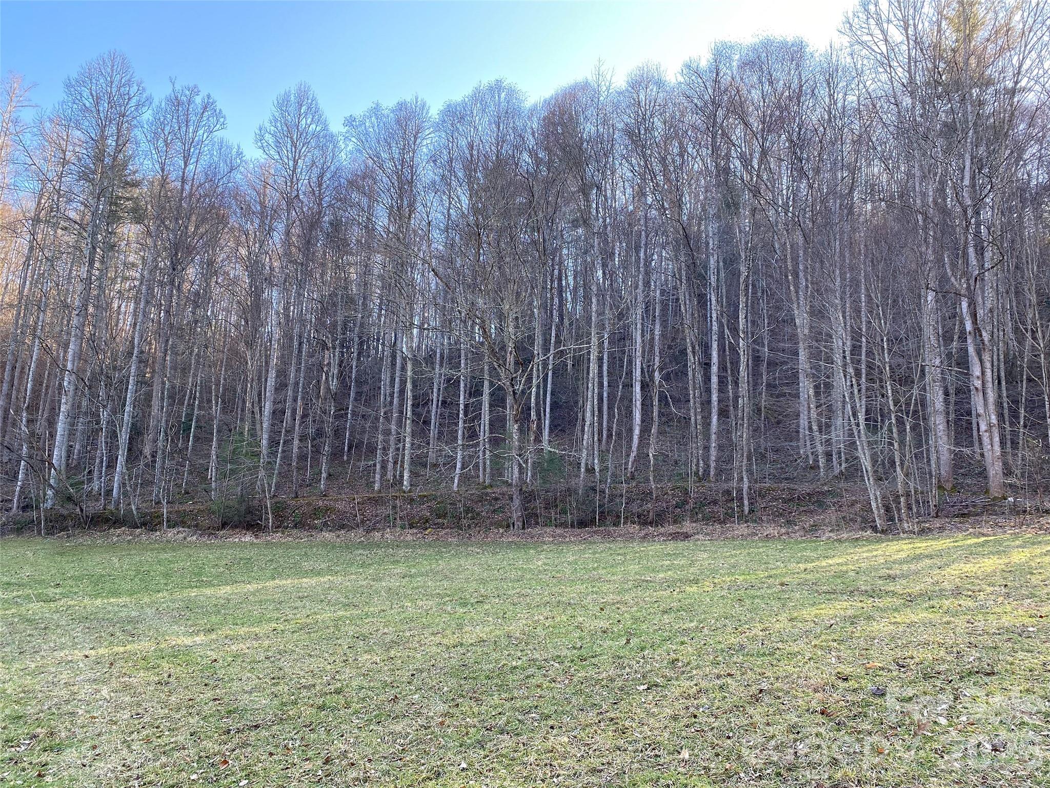 7385 Big Pine Road Marshall NC 28753
