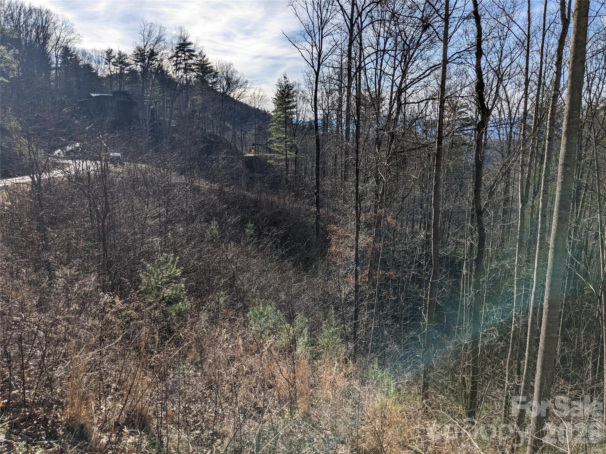 27 Bent Branch Lane Asheville NC 28804