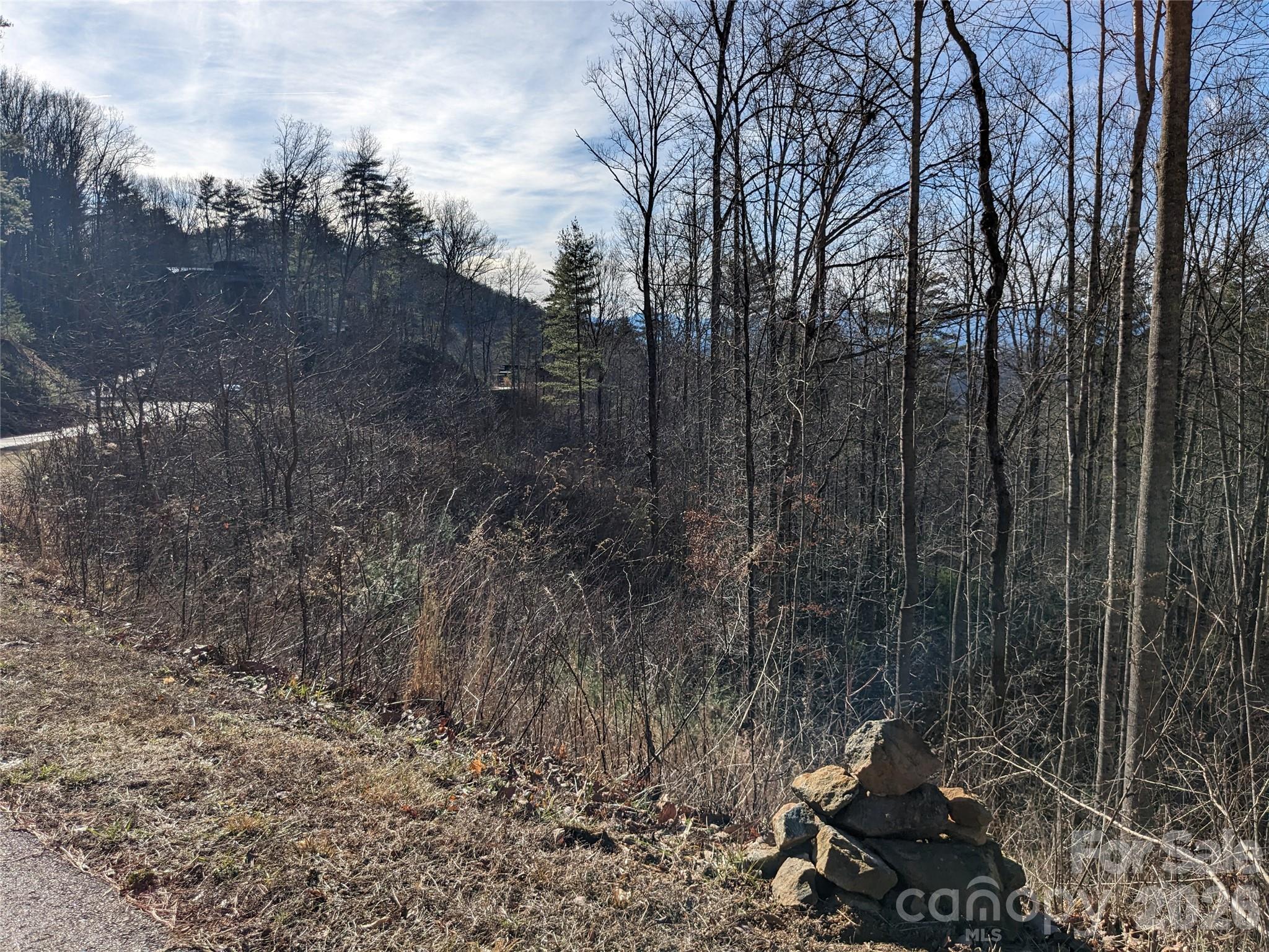27 Bent Branch Lane Asheville NC 28804