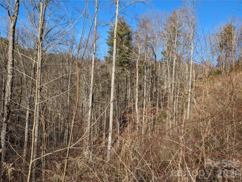 27 Bent Branch Lane Asheville NC 28804