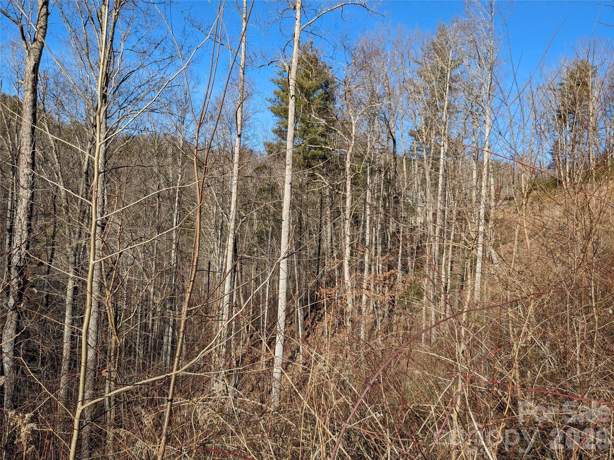 27 Bent Branch Lane Asheville NC 28804
