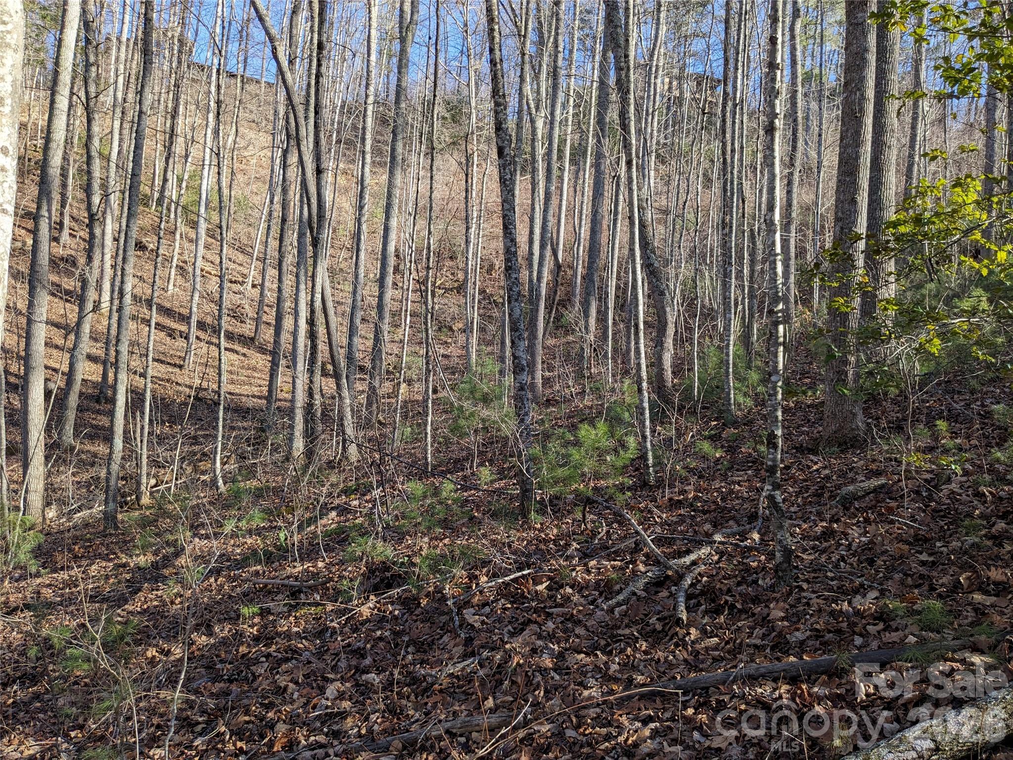 27 Bent Branch Lane Asheville NC 28804