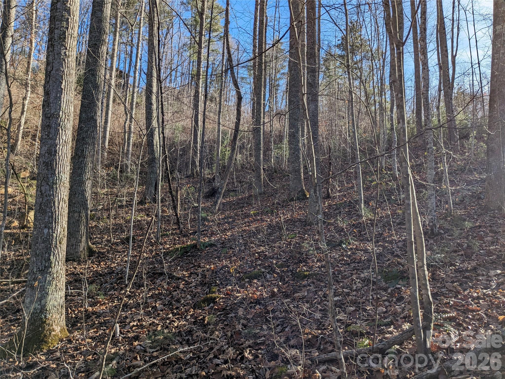 27 Bent Branch Lane Asheville NC 28804