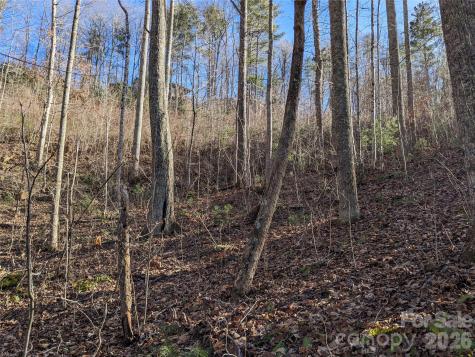 27 Bent Branch Lane Asheville NC 28804